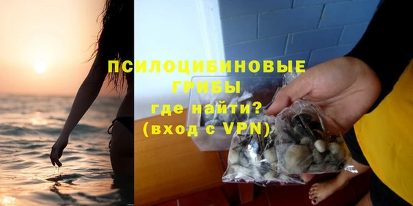 соль ск Вяземский