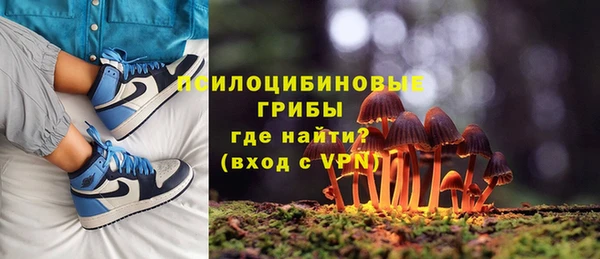 PSILOCYBIN Магас