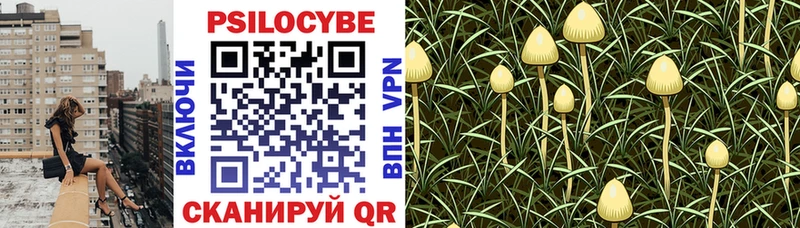 Псилоцибиновые грибы Magic Shrooms  где можно купить   Бузулук 