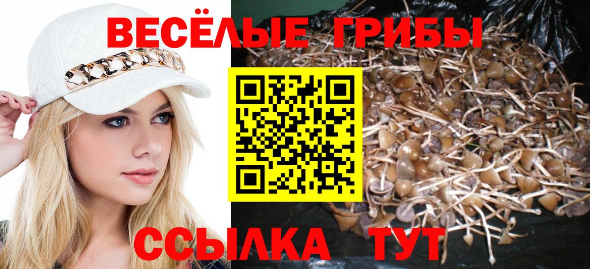 Псилоцибиновые грибы GOLDEN TEACHER Бузулук