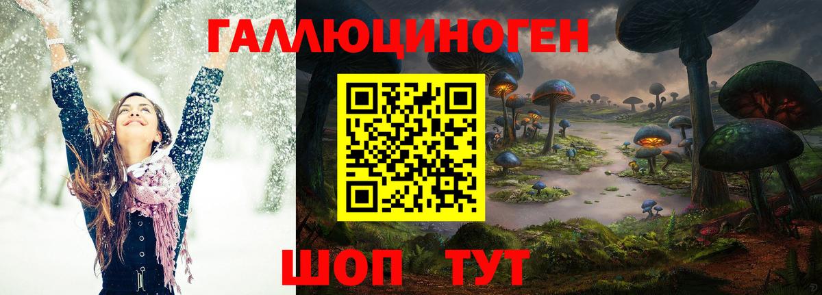 Псилоцибиновые грибы GOLDEN TEACHER  Псилоцибиновые грибы Psilocybine cubensis  Бузулук 